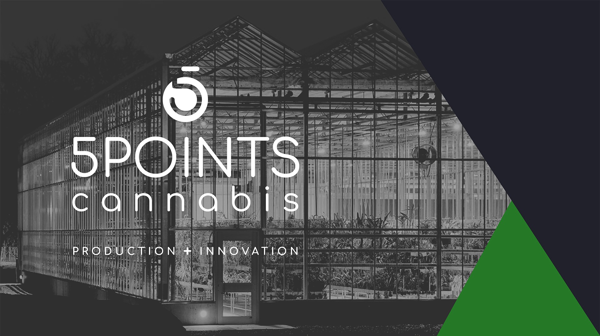 Beginning of operations of an impressive therapeutic cannabis production complex in a greenhouse